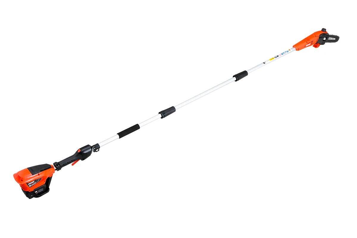 Potatore a batteria DPPF-310