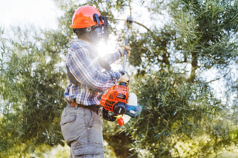 Potatore telescopico PPT-2620ES X Series