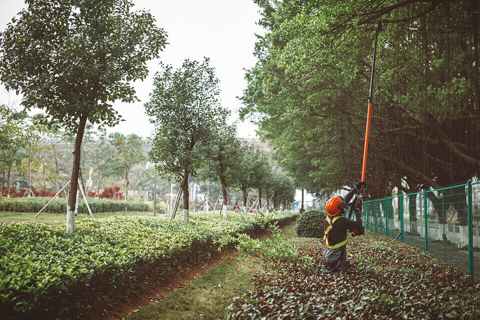 Potatore telescopico PPT-236ES Echo