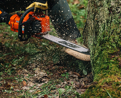 Motoseghe forestali