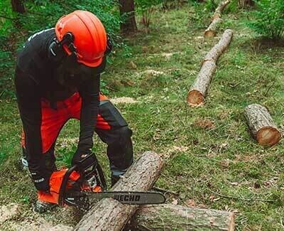 Abbigliamento forestale